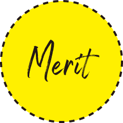 merit1